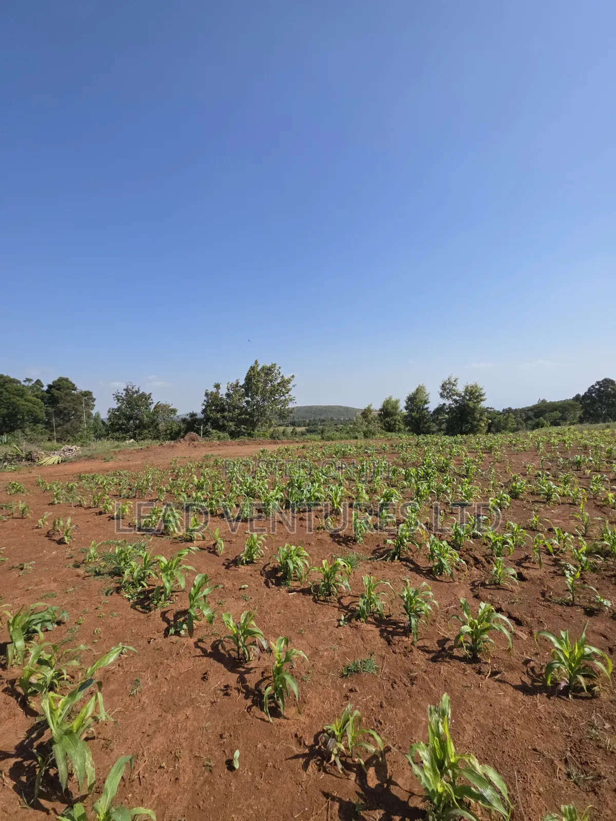 50×100 Plots at Kikuyu, Thigio in Kikuyu