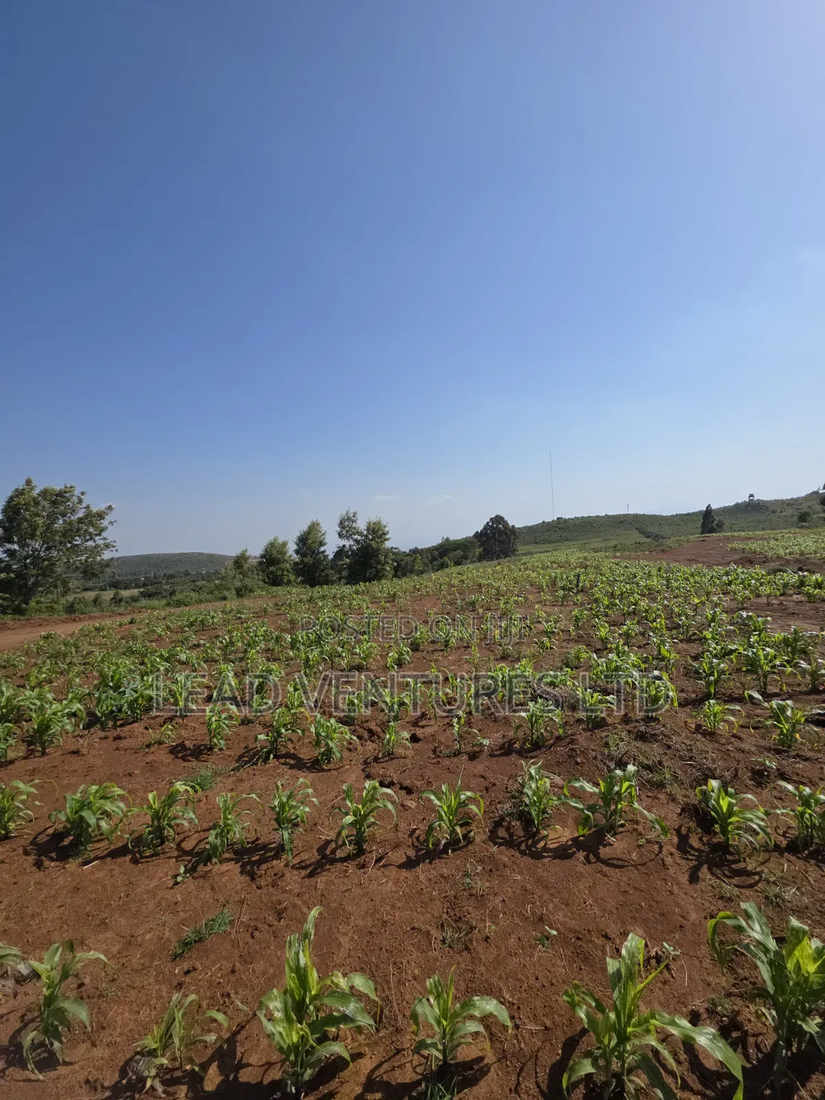 50×100 Plots at Kikuyu, Thigio in Kikuyu