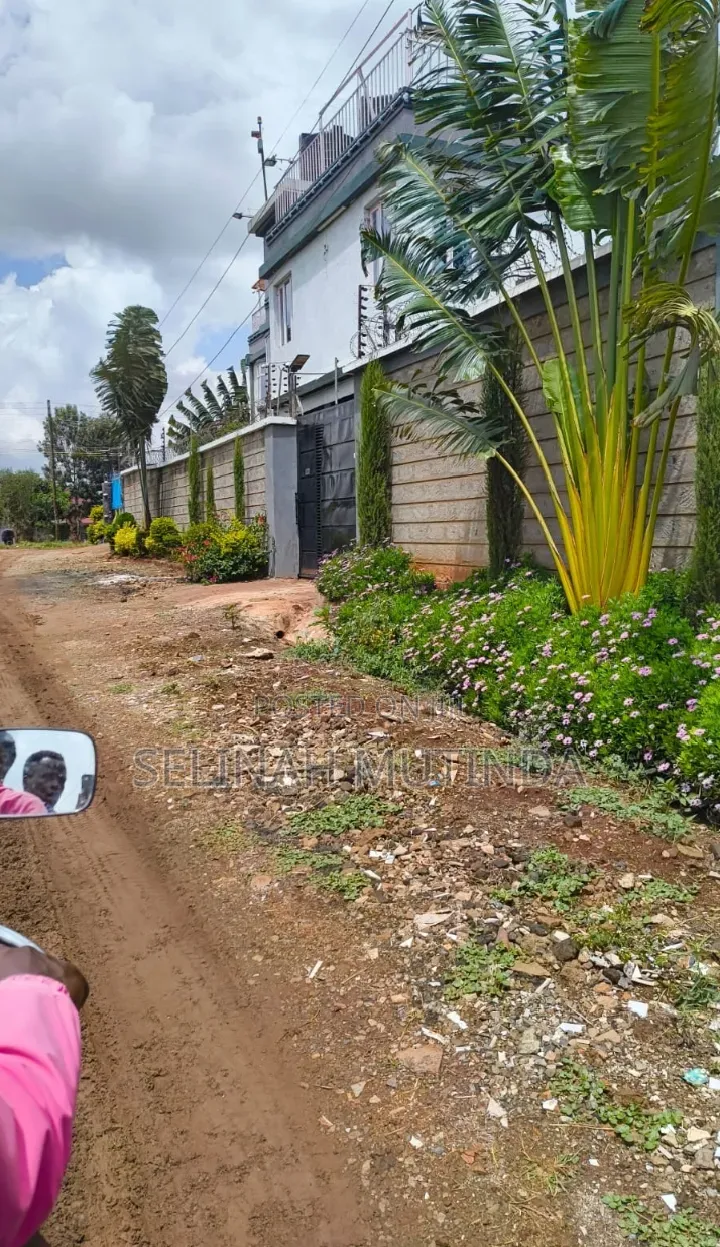 Kathangi Estate Kenol in Kimorori/Wempa