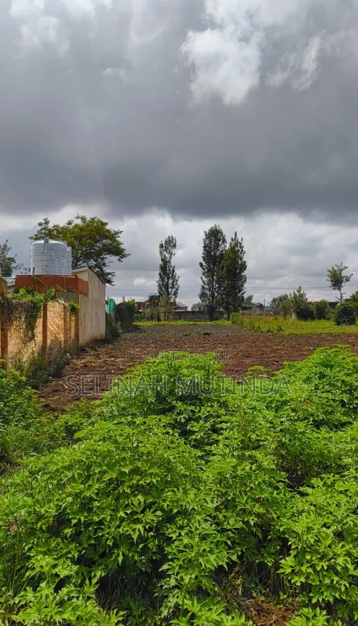 Kathangi Estate Kenol in Kimorori/Wempa