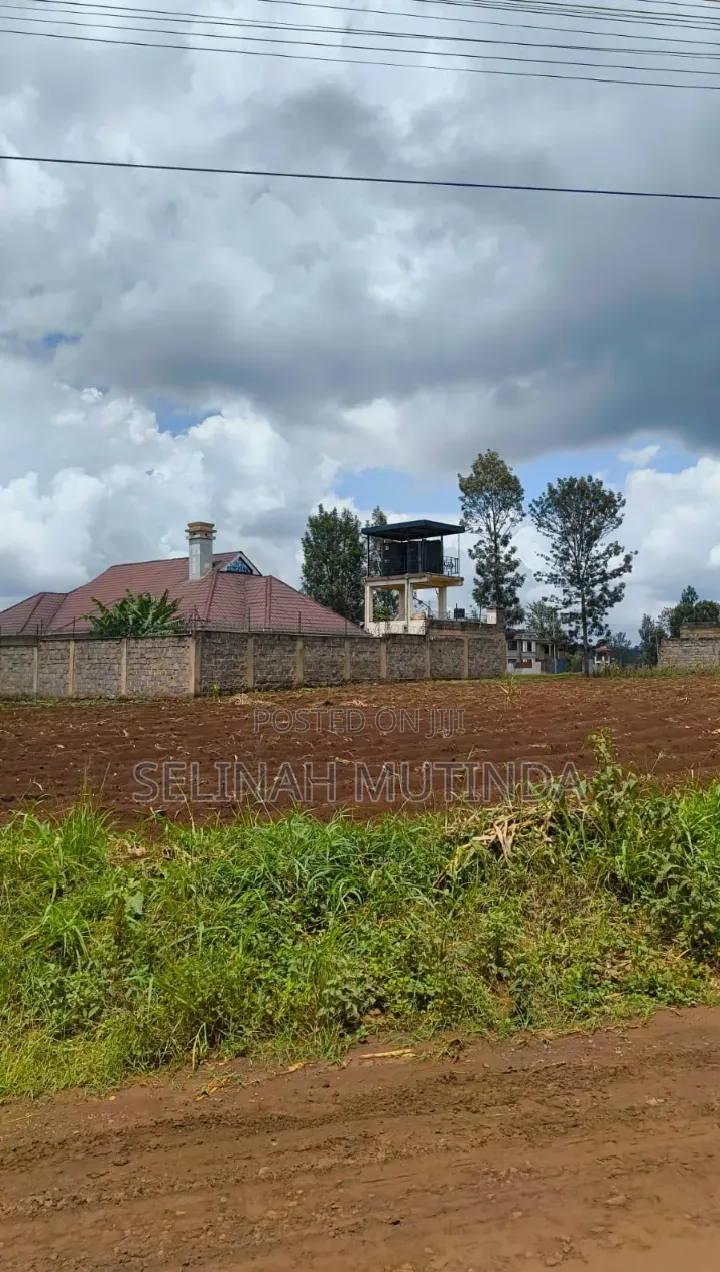 Kathangi Estate Kenol in Kimorori/Wempa