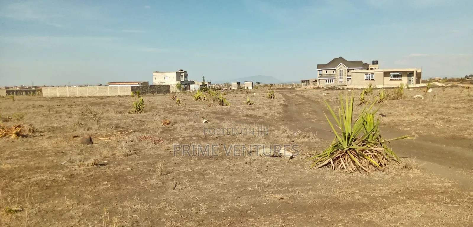 Prime Plot 50x100 in Katani Syokimau in Katani