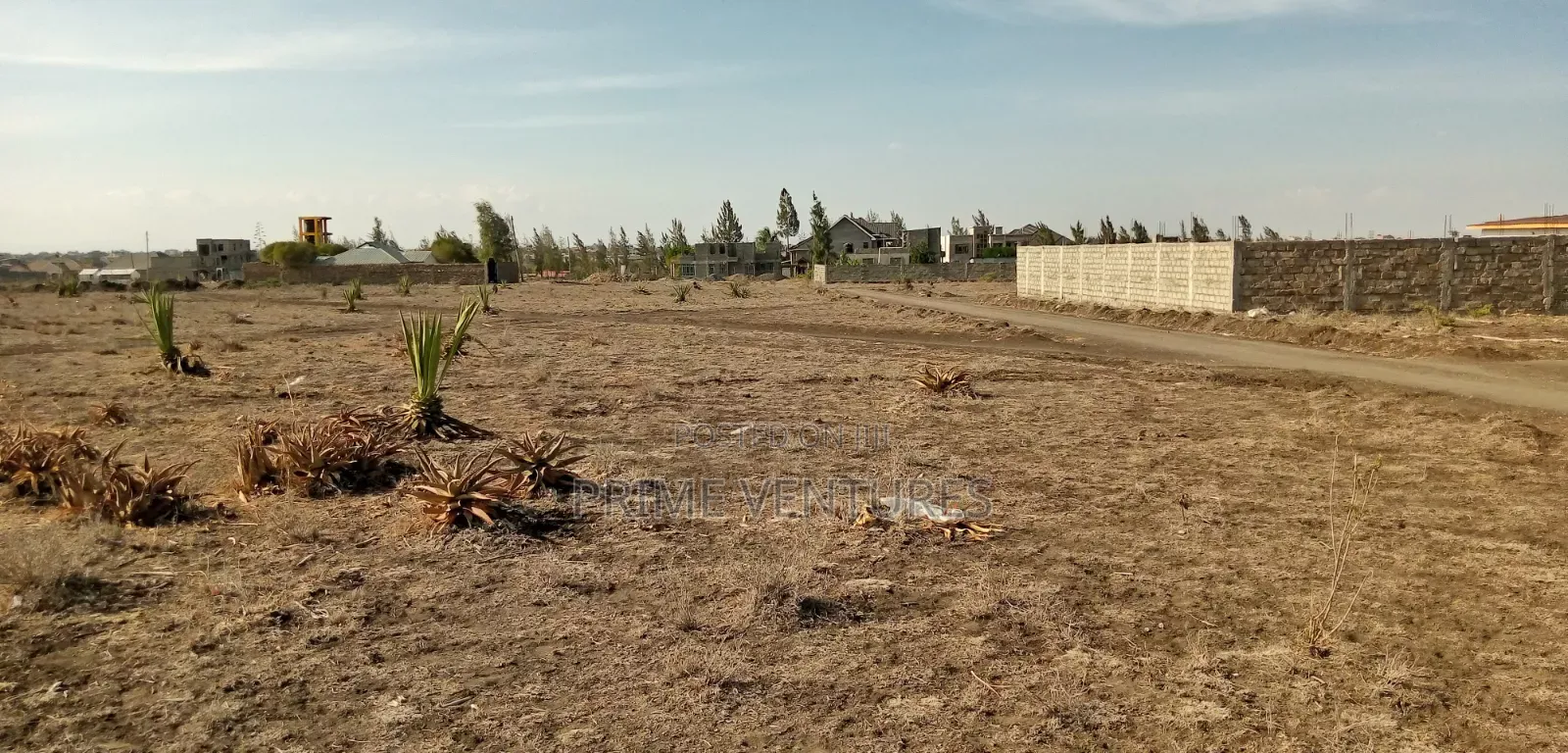 Prime Plot 50x100 in Katani Syokimau in Katani