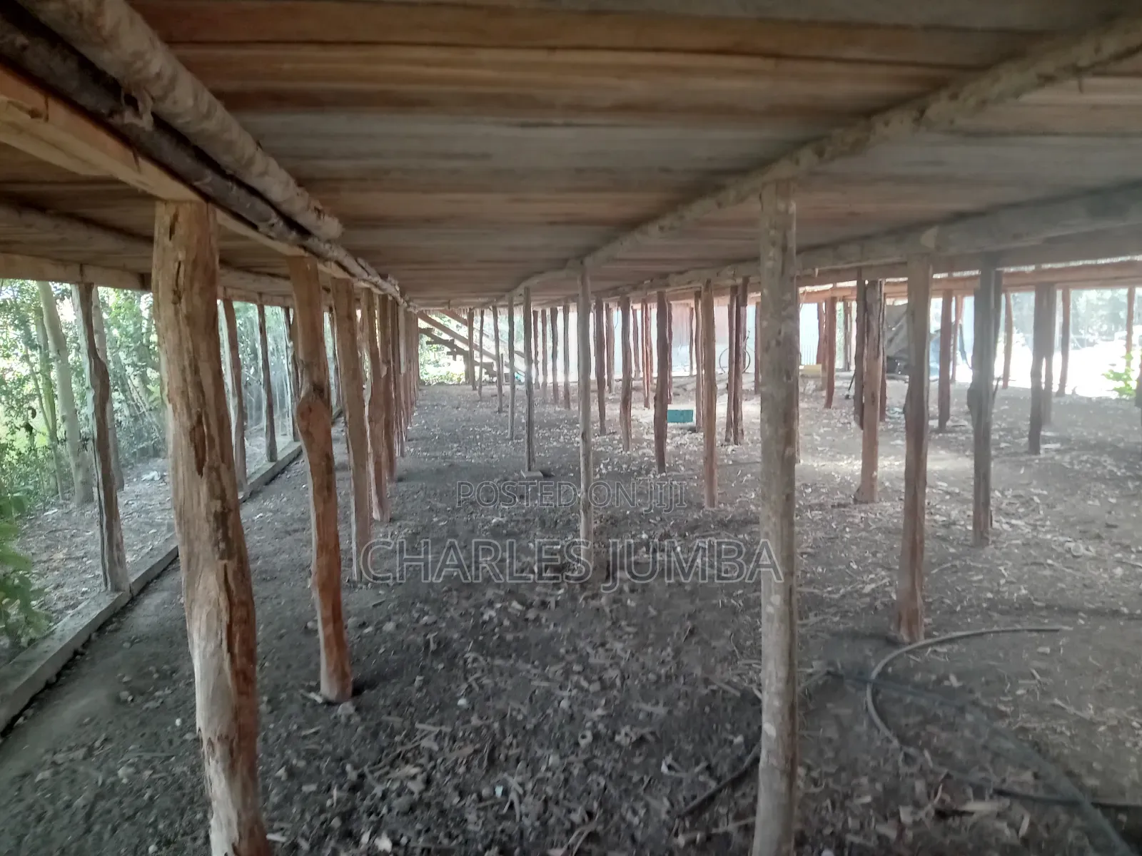 Poultry Farm for Lease in Kitengela