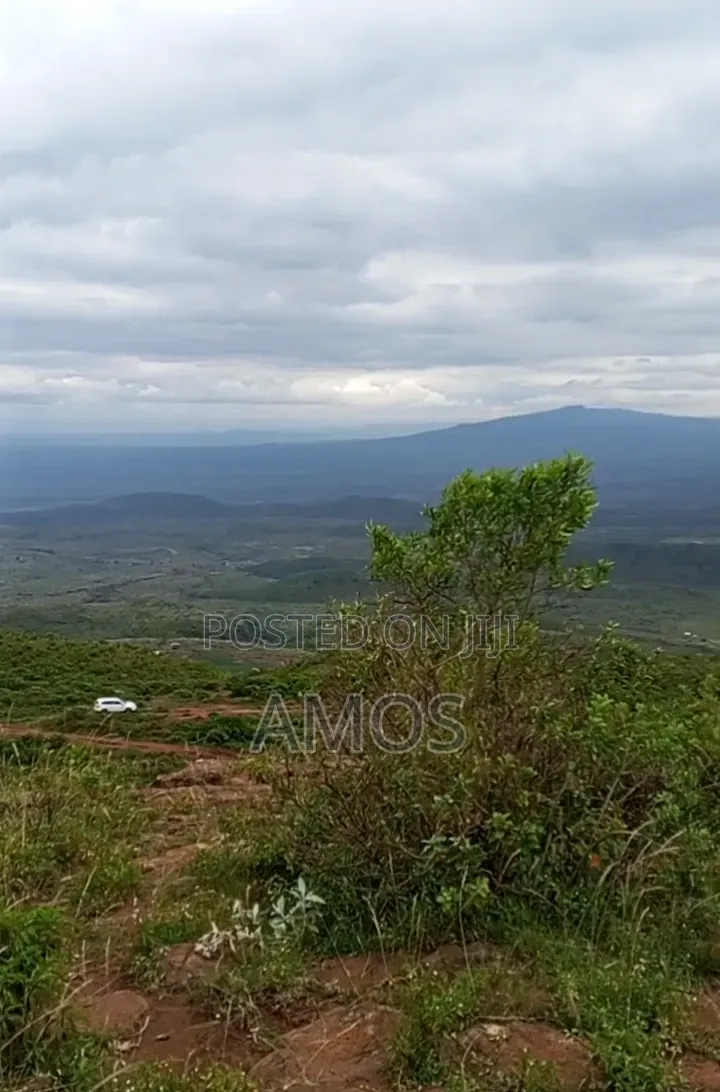 Ndeiya 10 Acres Quick Sale Ideal for Plots Subdivision in Ndeiya