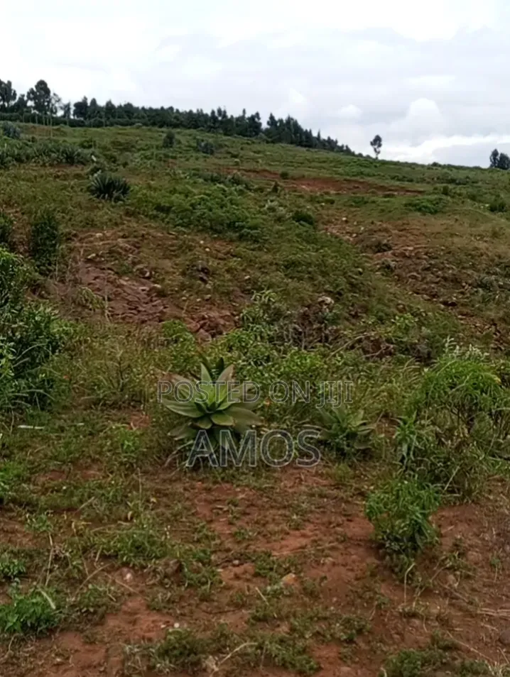 Ndeiya 10 Acres Quick Sale Ideal for Plots Subdivision in Ndeiya