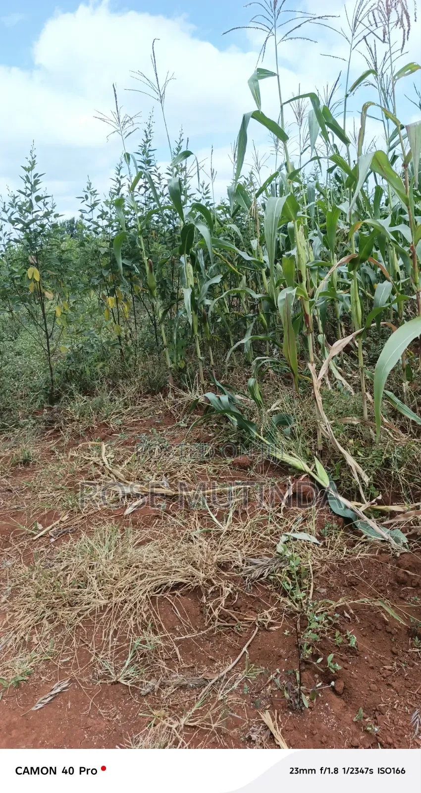 2acres at Wendano in Tala