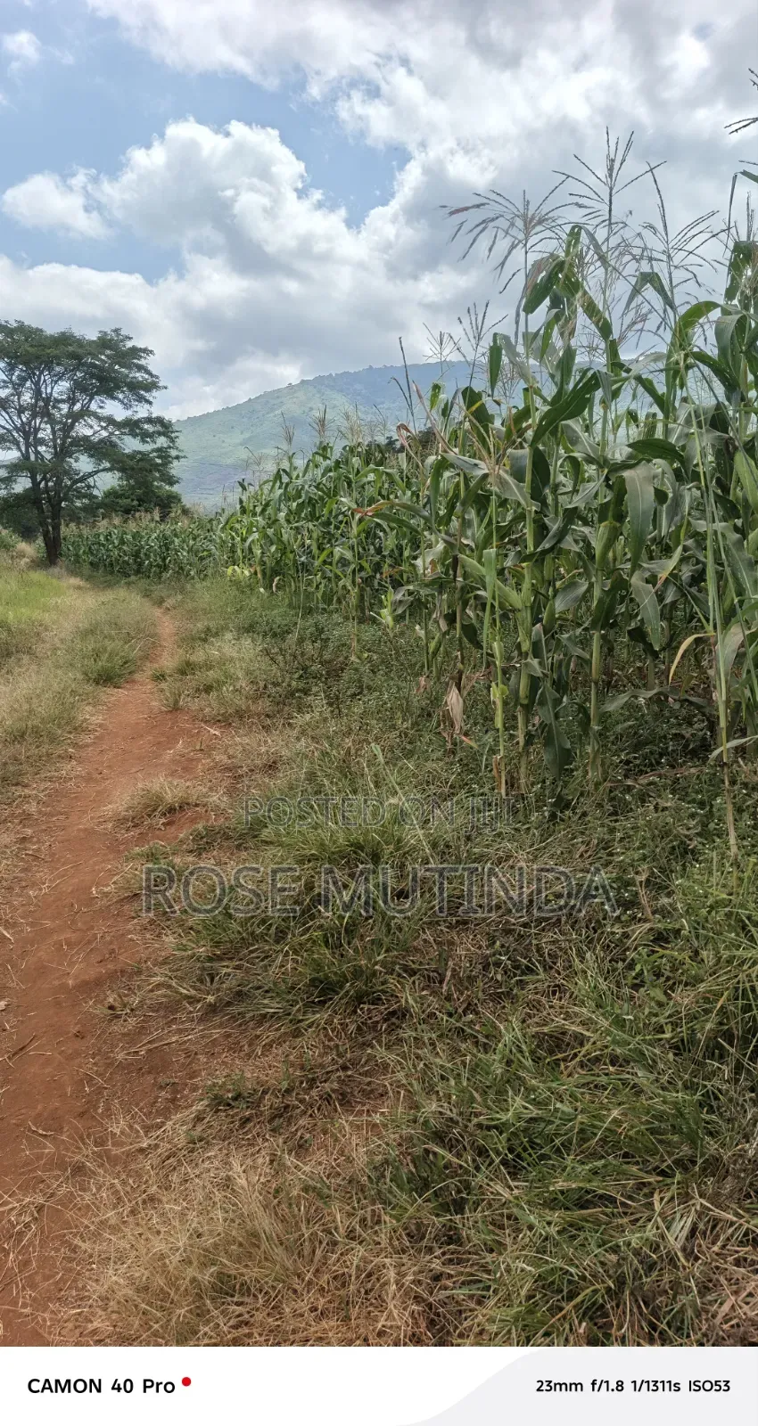 2acres at Wendano in Tala