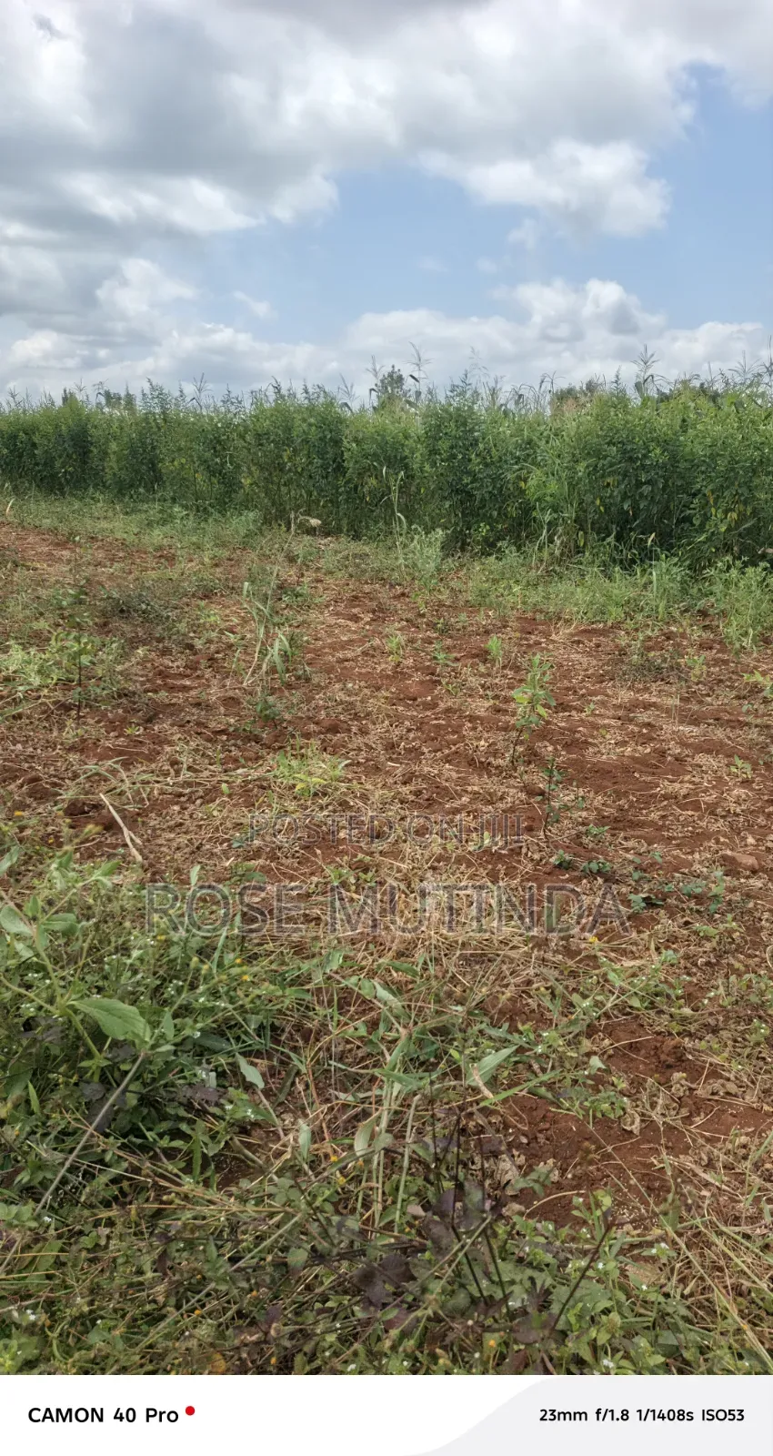 2acres at Wendano in Tala