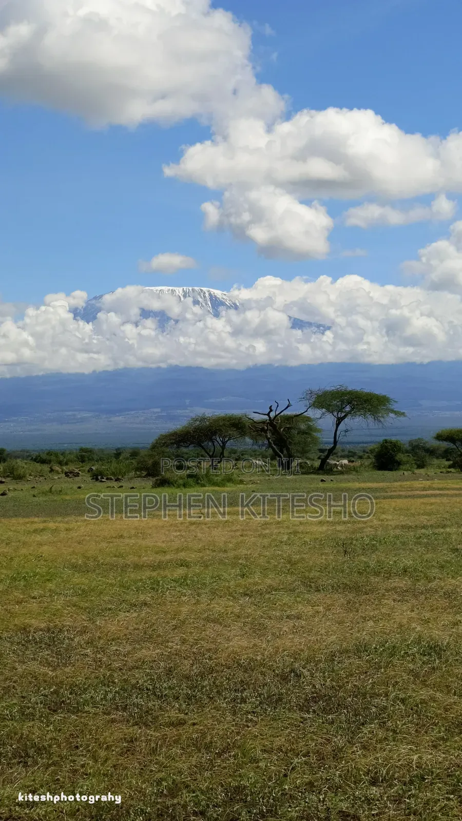 Ready Title 31acres Imbrrikani Land 4,650,000 in Mbirikani