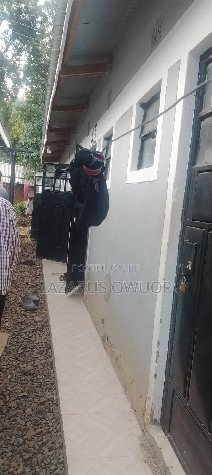 Furnished 1bdrm House in East Kamagambo for sale in East Kamagambo