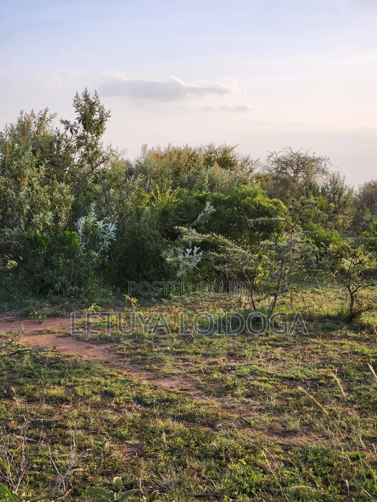 Prime 1 Acre Ngong-Kimuka in Kibiku