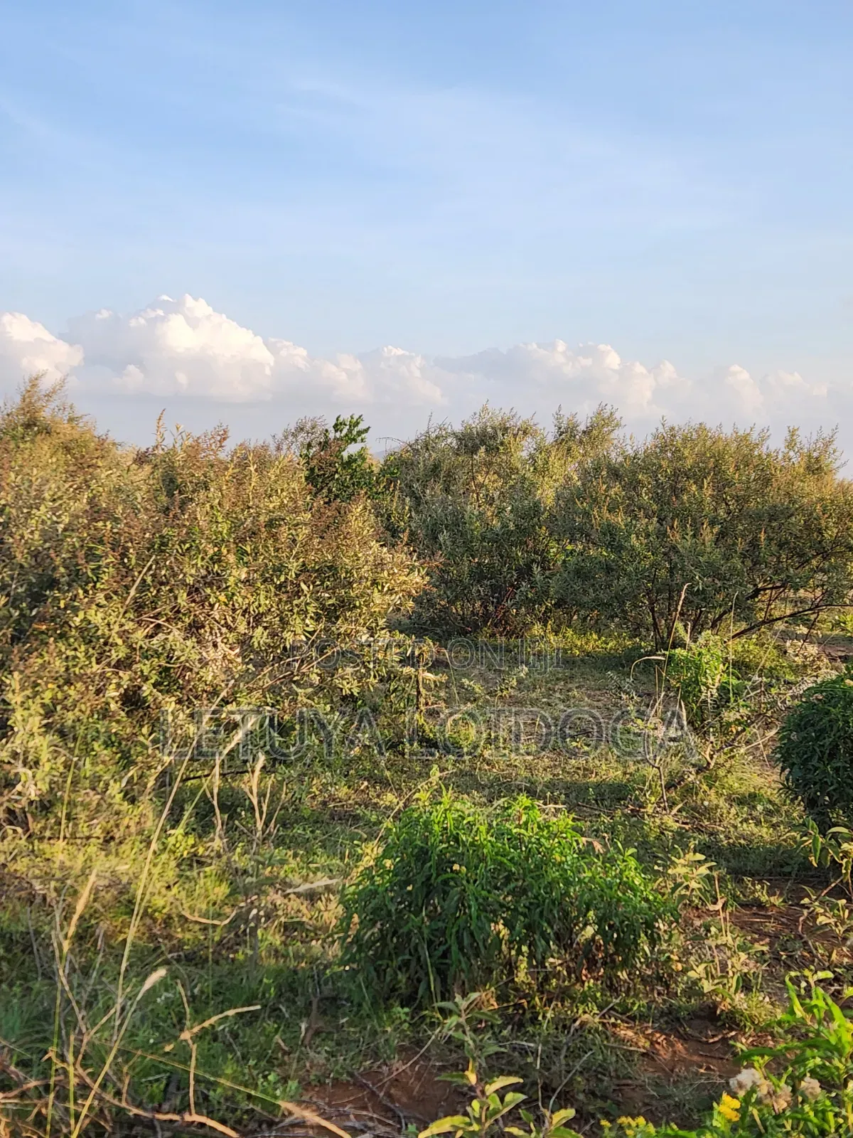 Prime 1 Acre Ngong-Kimuka in Kibiku