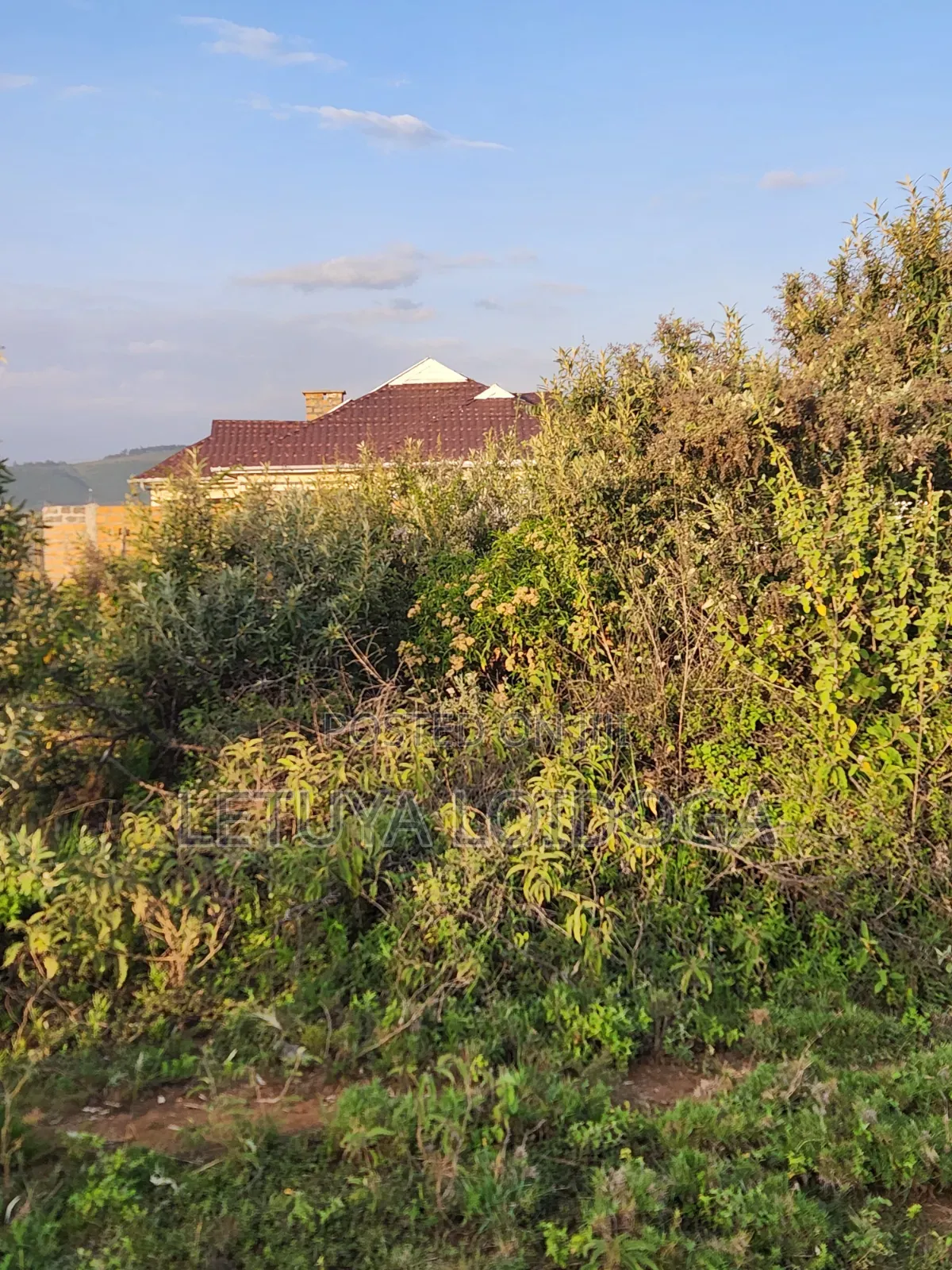 Prime 1 Acre Ngong-Kimuka in Kibiku