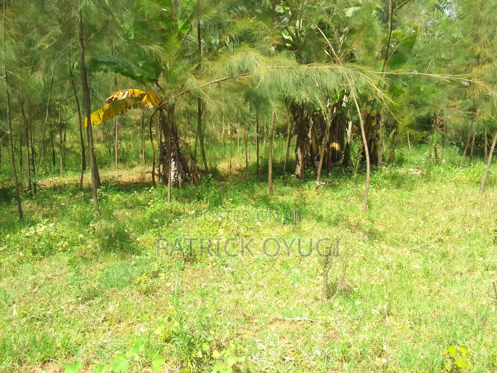 Land for Sale at Kapuonja in Kisumu in Kapuonja