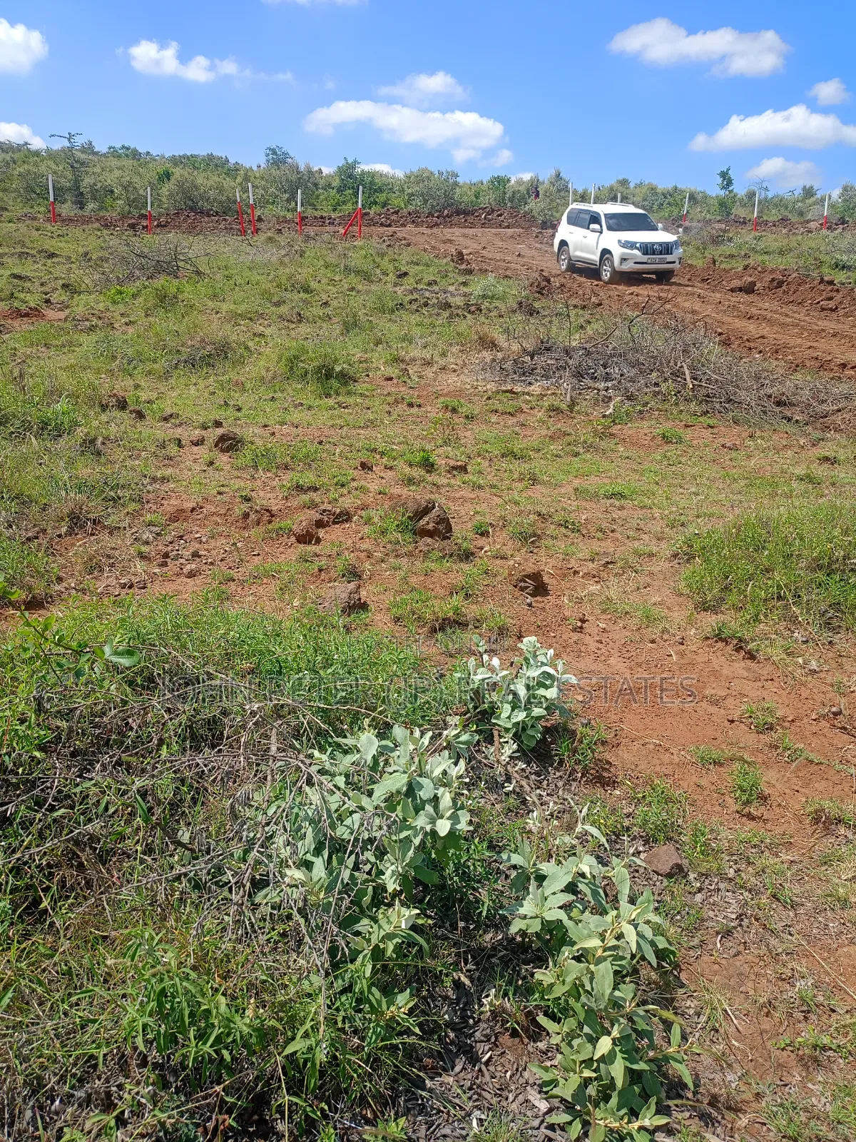 50 by 100 Plots in Nachu