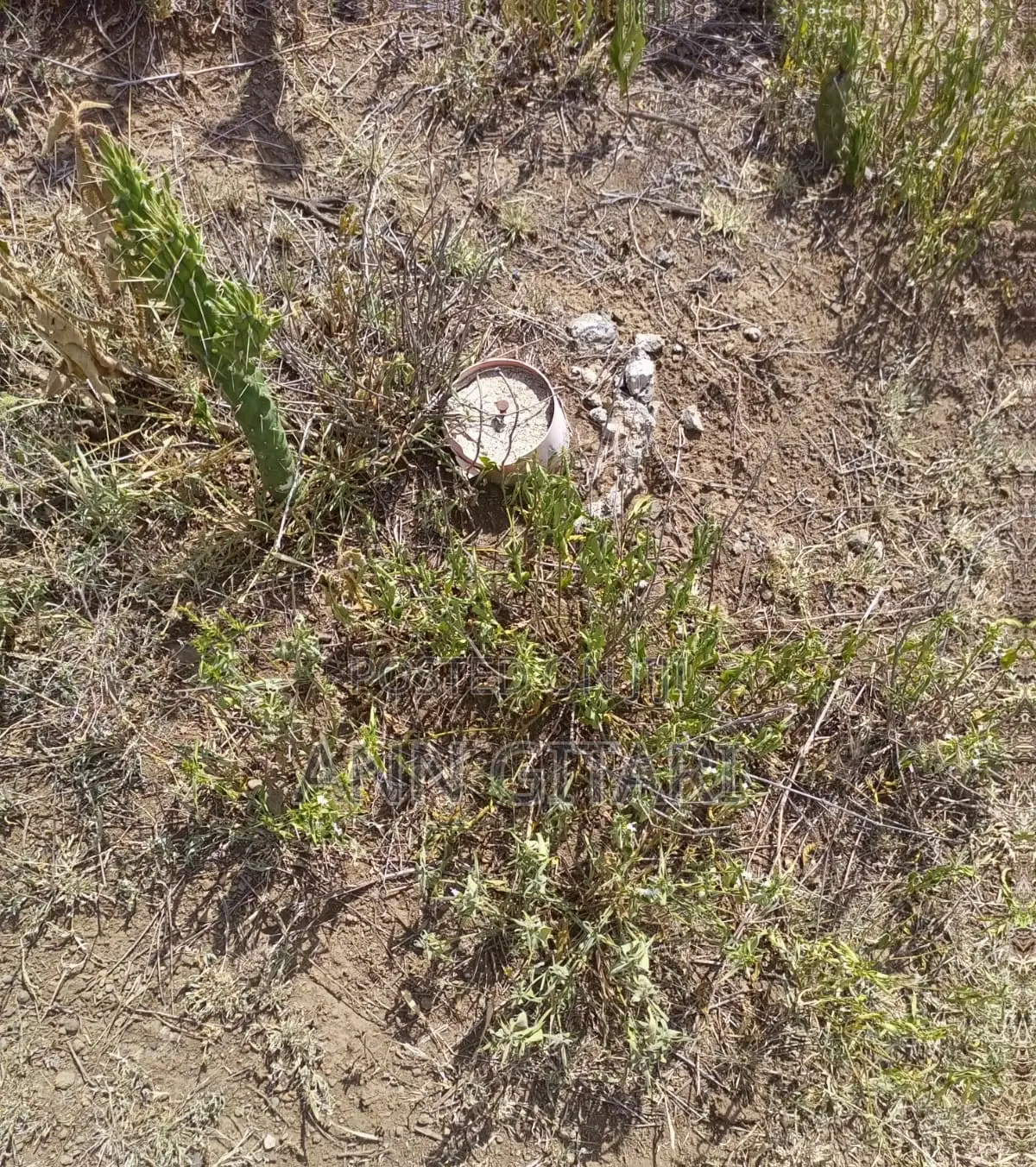 For Sale: 1/4 Acre Plot - Gilgil in Eburru