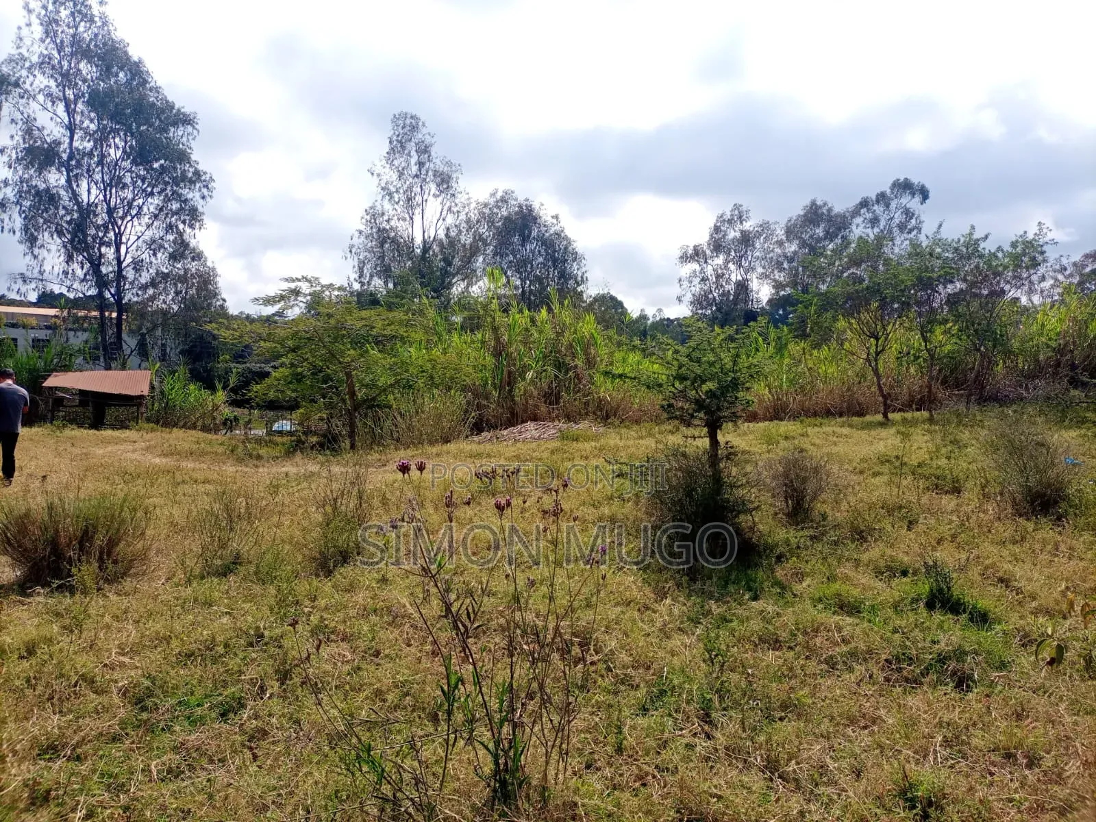 Makuyu Prime 613 Acre Ideal for Coffee, Makadamia, Avocado Farming in Makuyu