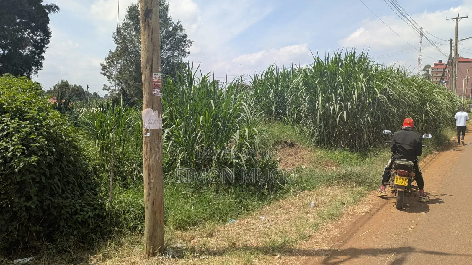 Makuyu Prime 613 Acre Ideal for Coffee, Makadamia, Avocado Farming in Makuyu