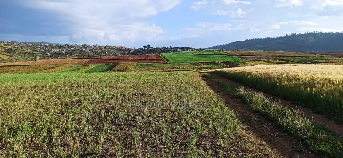 Makuyu Prime 613 Acre Ideal for Coffee, Makadamia, Avocado Farming in Makuyu
