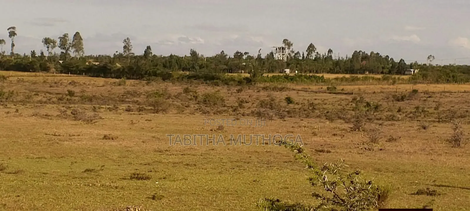 1/8 of an Acre Nanyuki in Nanyuki