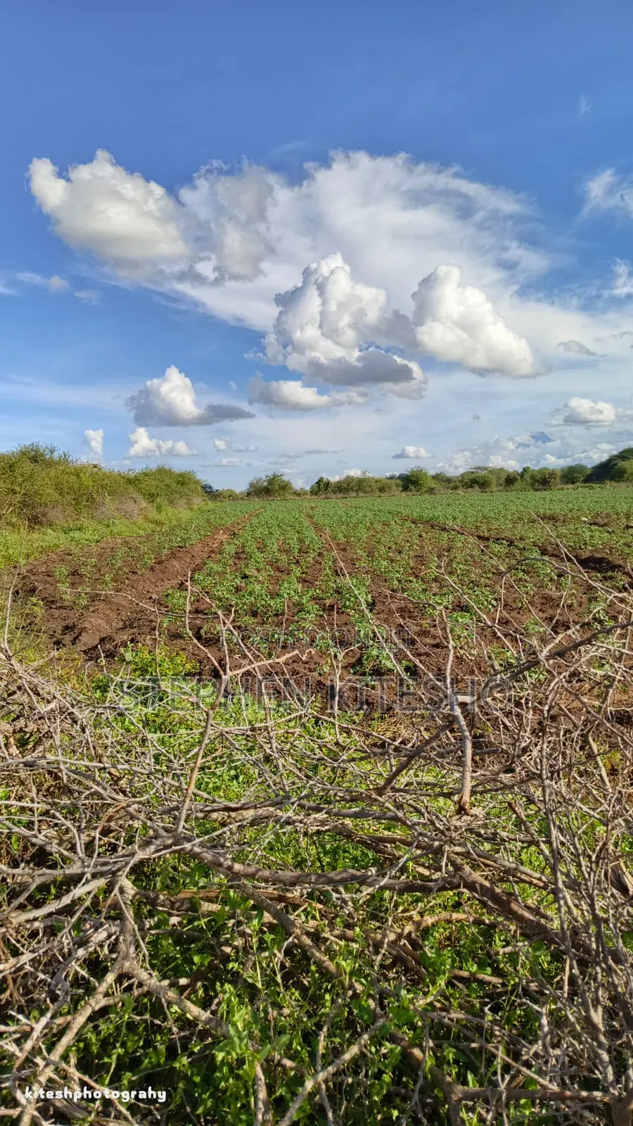 Ready Title 10acres Imbrrikani Land in Mbirikani