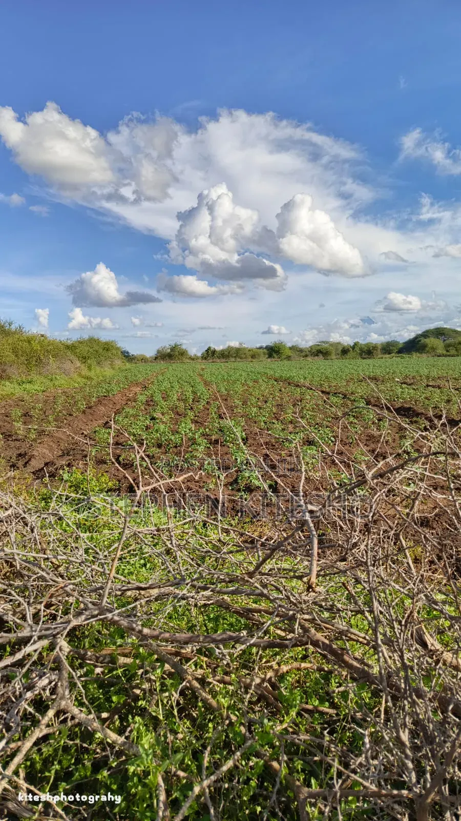 Ready Title 10acres Imbrrikani Land in Mbirikani