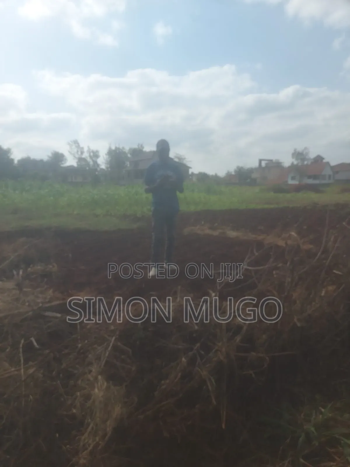 Golden Palm Estate Kiambu Rd Prime 1/4 Ac Ready Title in Thindigua/Kasarini