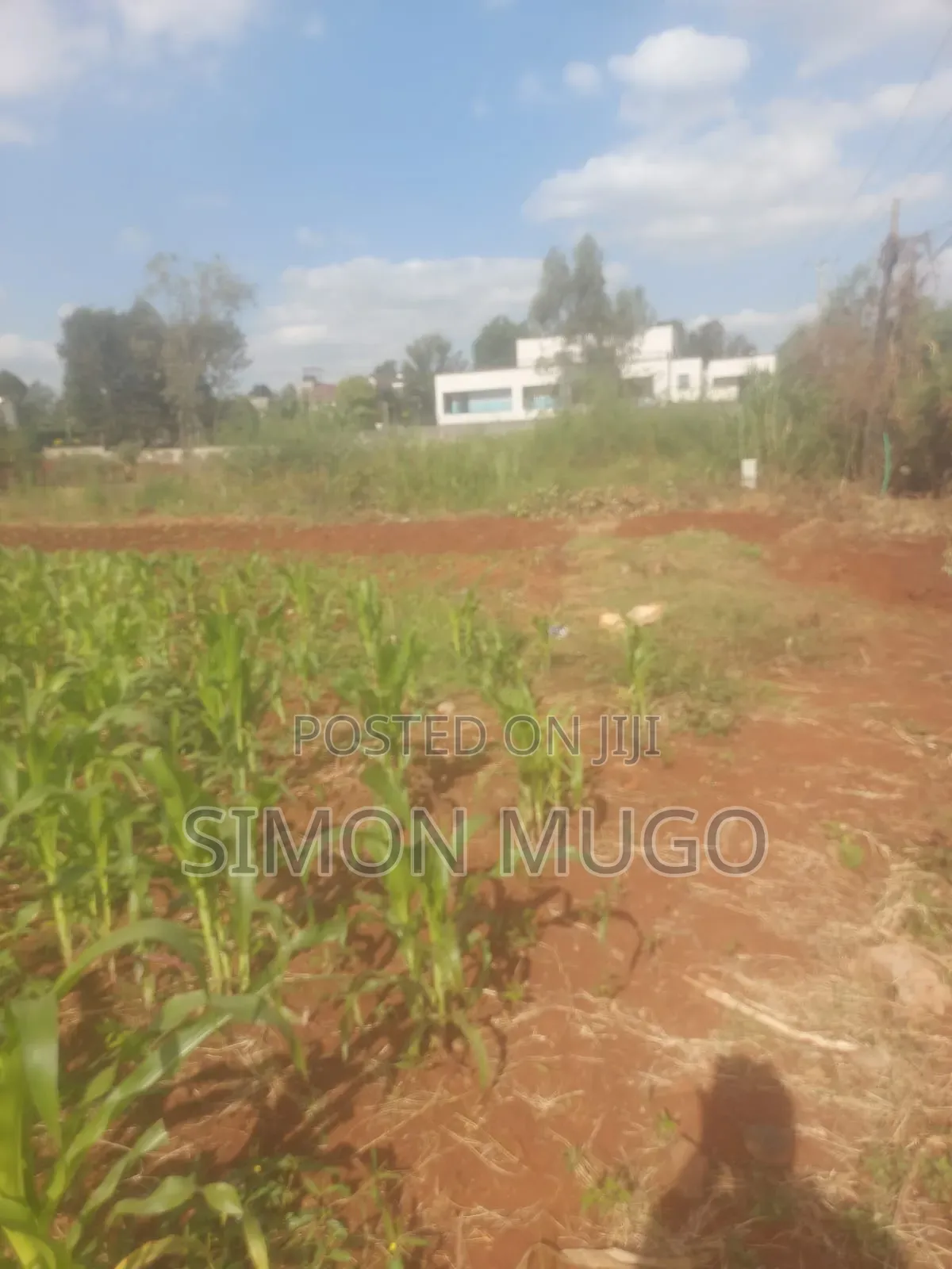 Golden Palm Estate Kiambu Rd Prime 1/4 Ac Ready Title in Thindigua/Kasarini