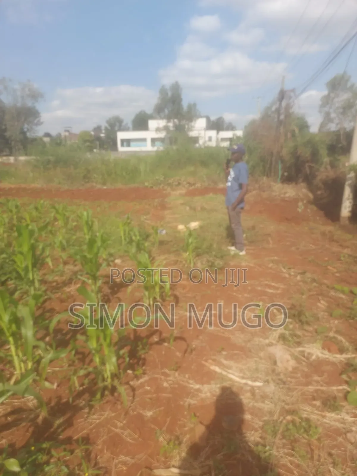 Golden Palm Estate Kiambu Rd Prime 1/4 Ac Ready Title in Thindigua/Kasarini
