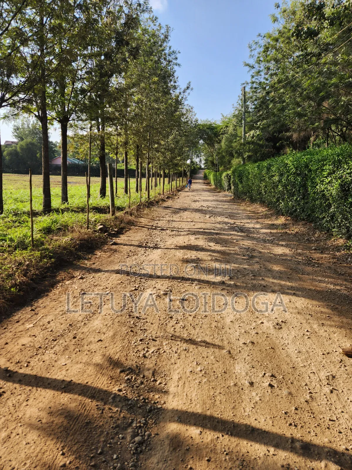 Beautiful 1-Acre Plots Ngong-Oloika Road in Oloika
