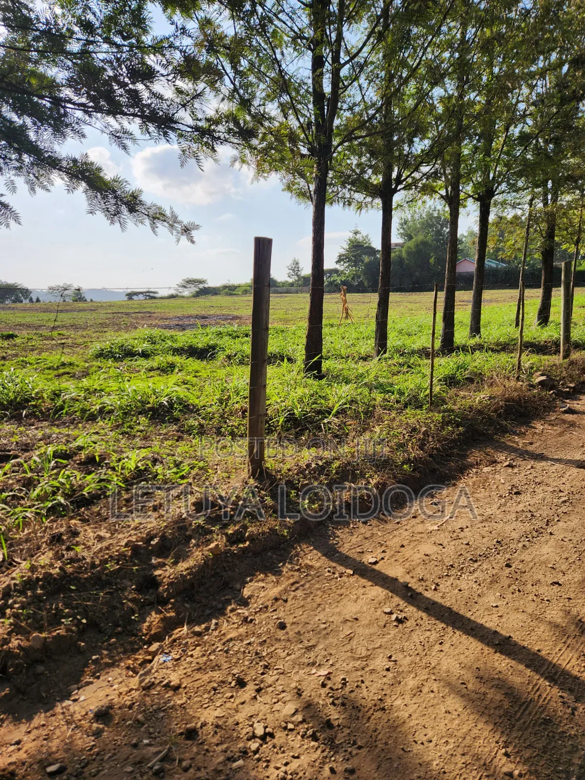 Beautiful 1-Acre Plots Ngong-Oloika Road in Oloika