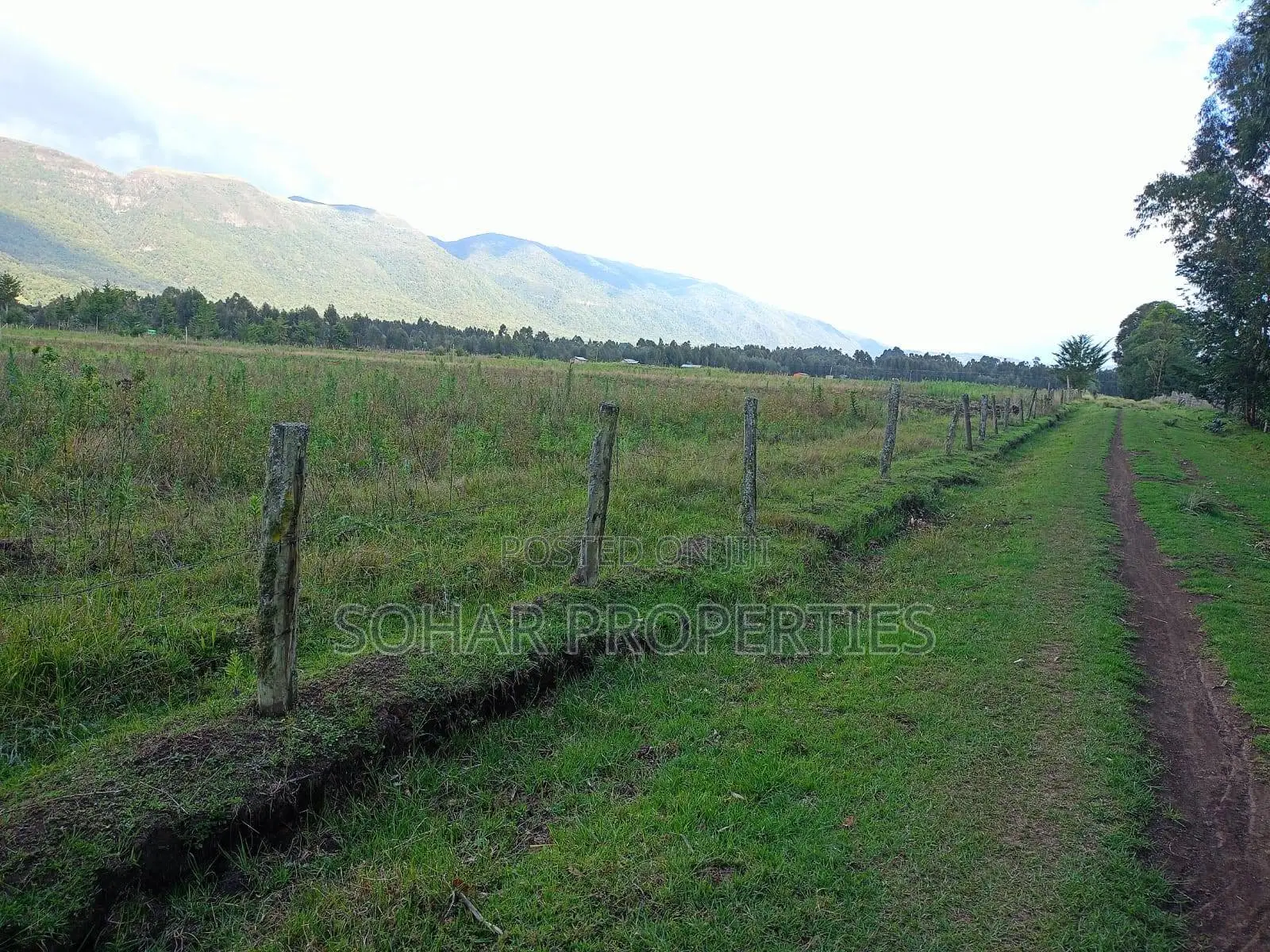 Nyandarua Kipipiri - 3.5 Acres on Per Acre in Kipipiri