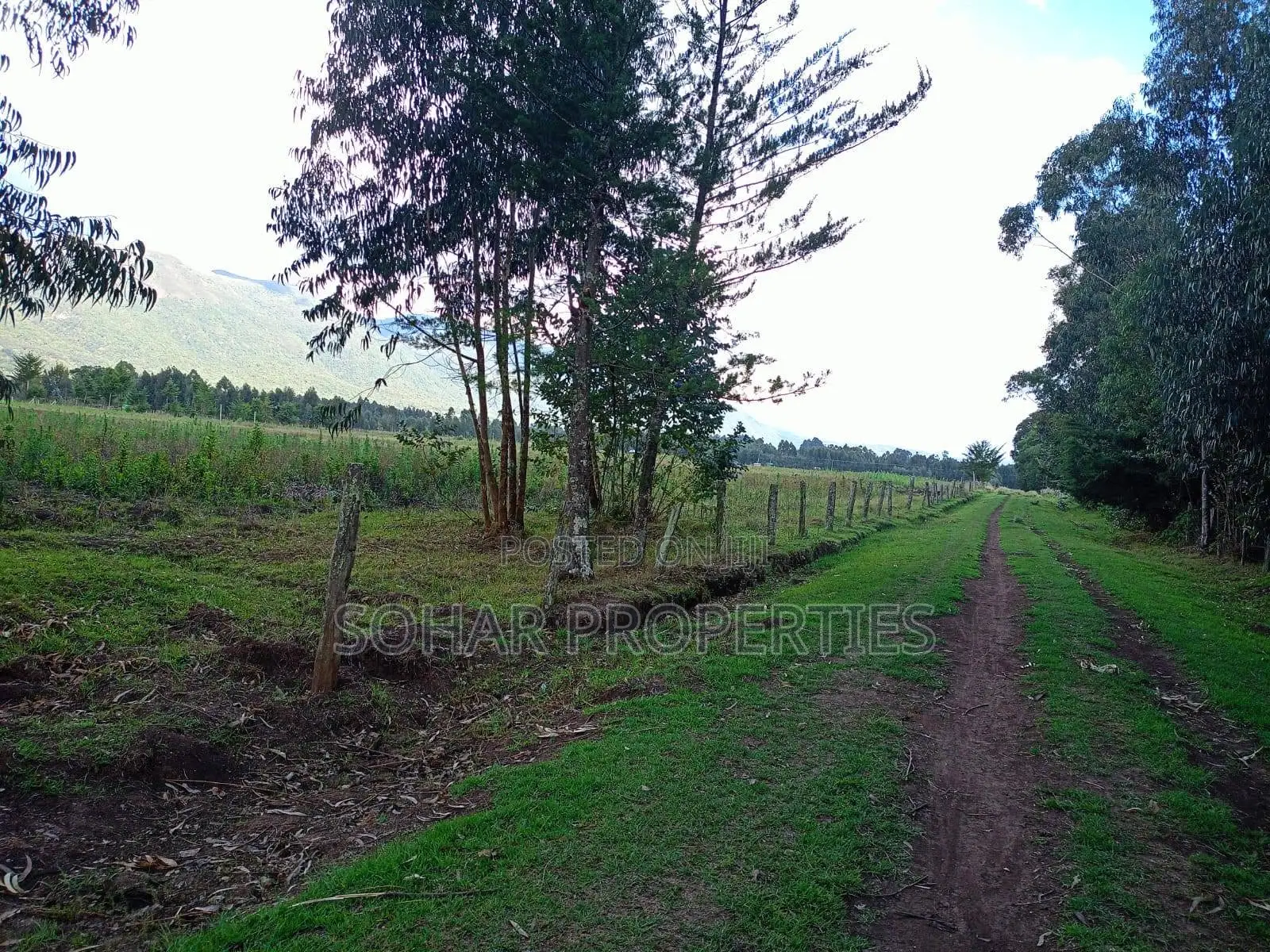 Nyandarua Kipipiri - 3.5 Acres on Per Acre in Kipipiri