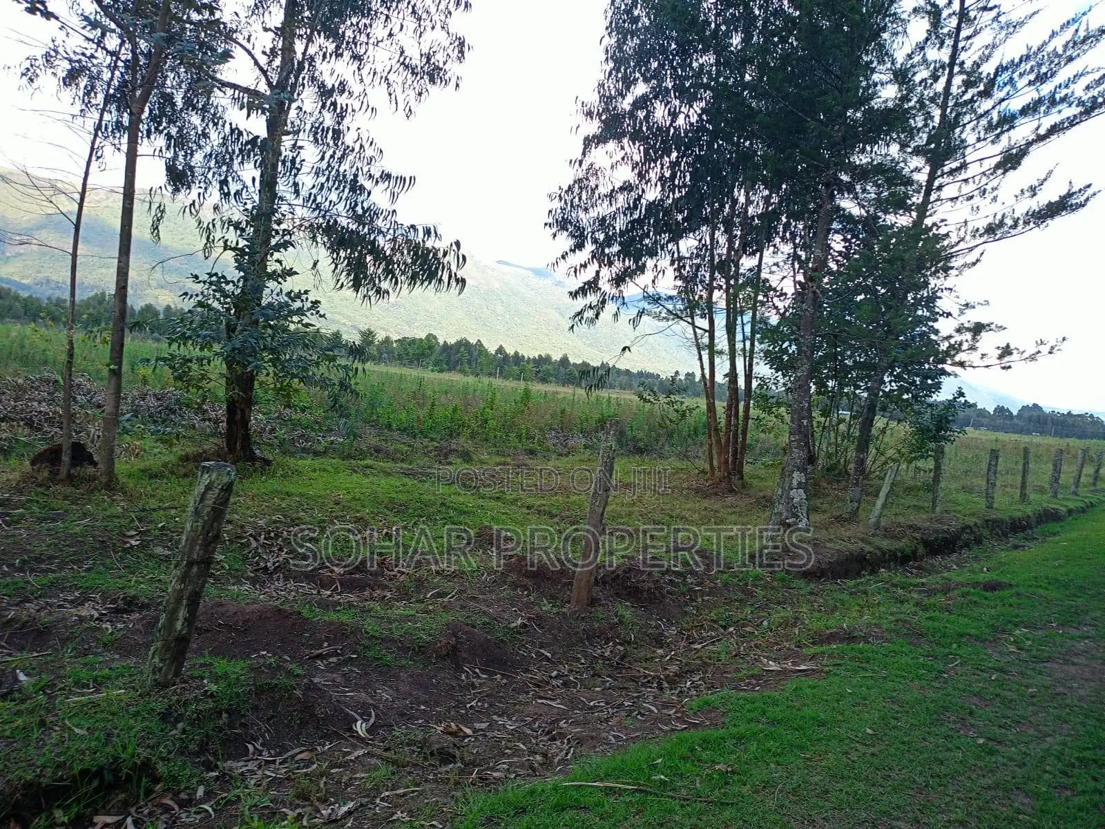 Nyandarua Kipipiri - 3.5 Acres on Per Acre in Kipipiri