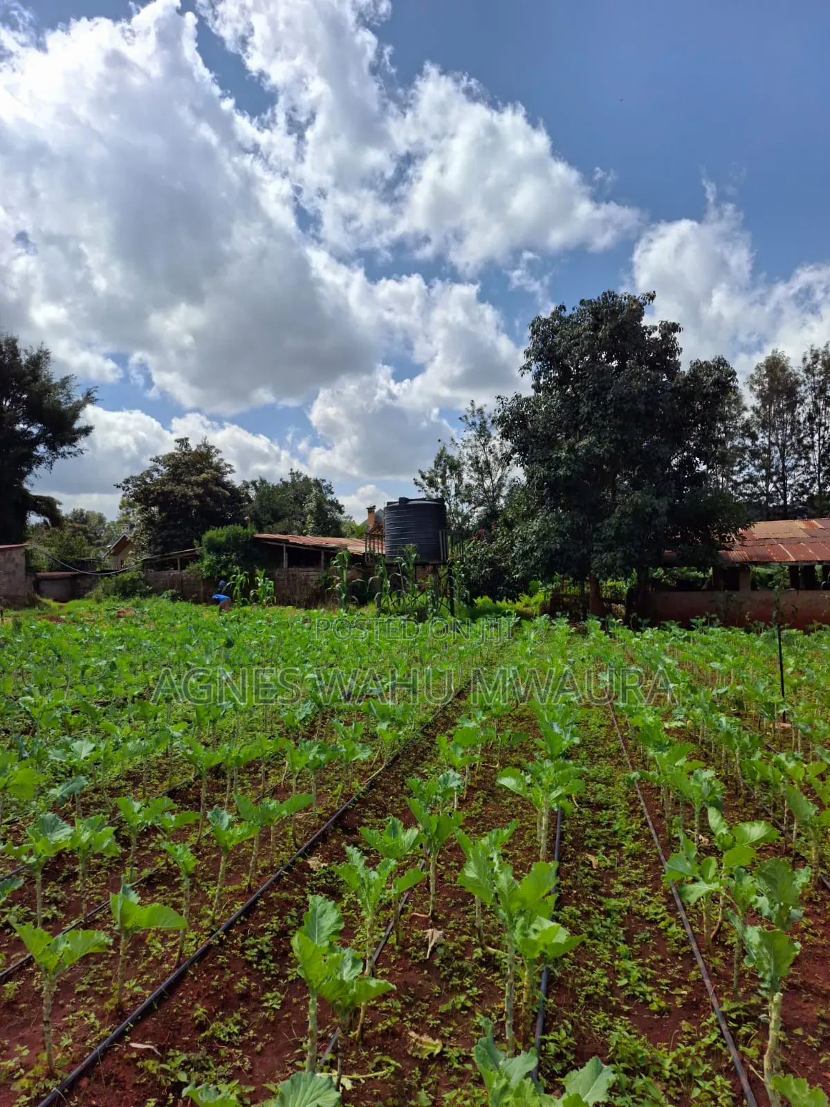 1/2 an Acre Land for Sale in Karen Windy Ridge in Karen C