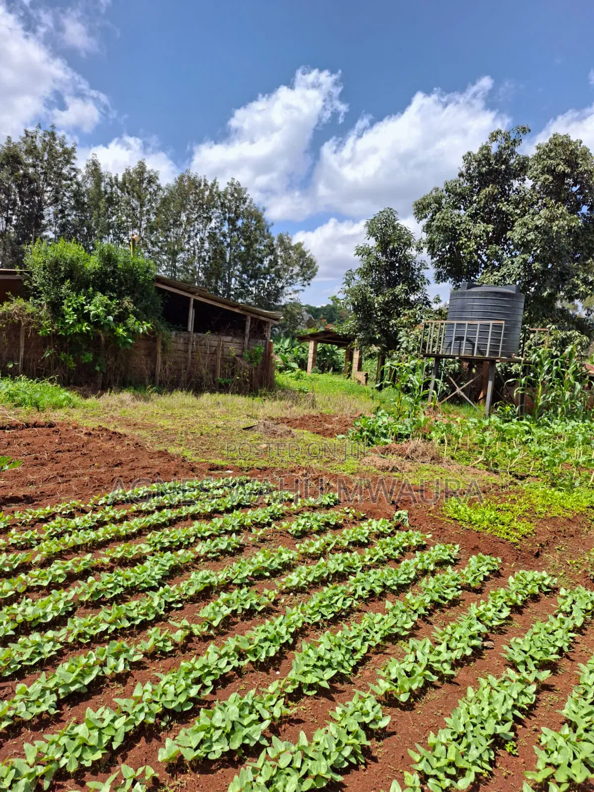 1/2 an Acre Land for Sale in Karen Windy Ridge in Karen C