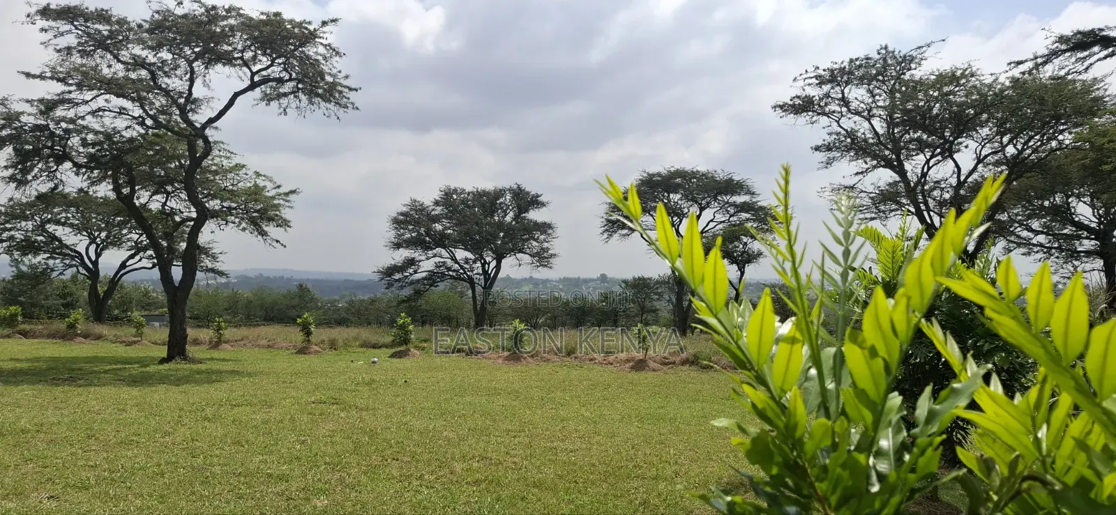 Land for Sale Ranch in Maasai Lodge