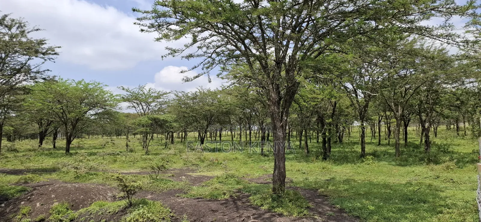 Land for Sale Ranch in Maasai Lodge