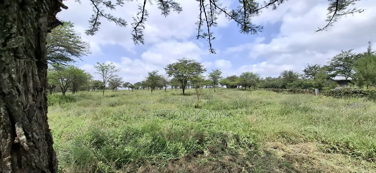 Land for Sale Ranch in Maasai Lodge