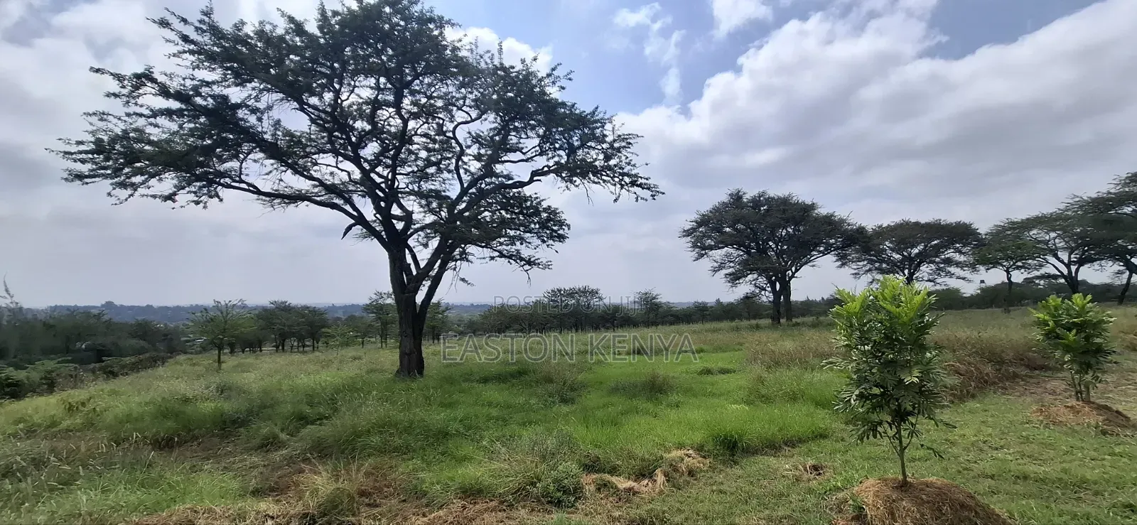 Land for Sale Ranch in Maasai Lodge