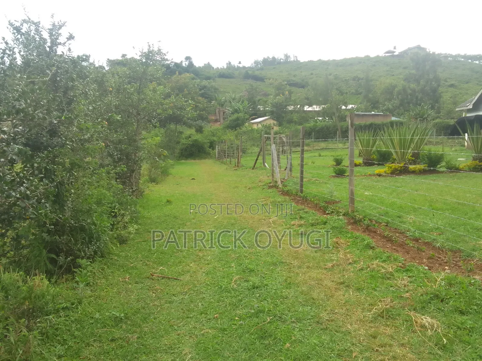 Freehold Land for Sale in Kisumu Konya in Kajulu