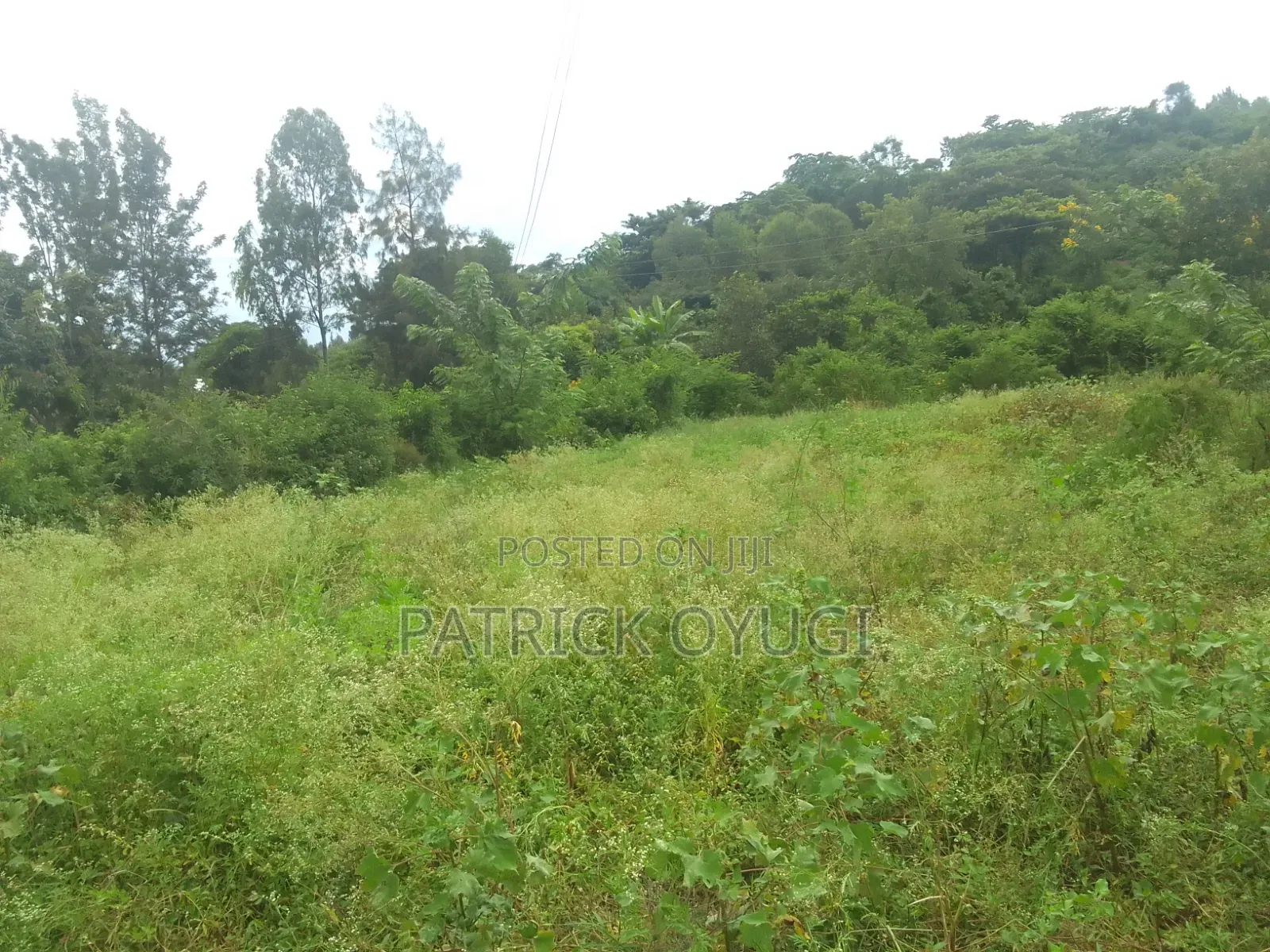 Freehold Land for Sale in Kisumu Konya in Kajulu