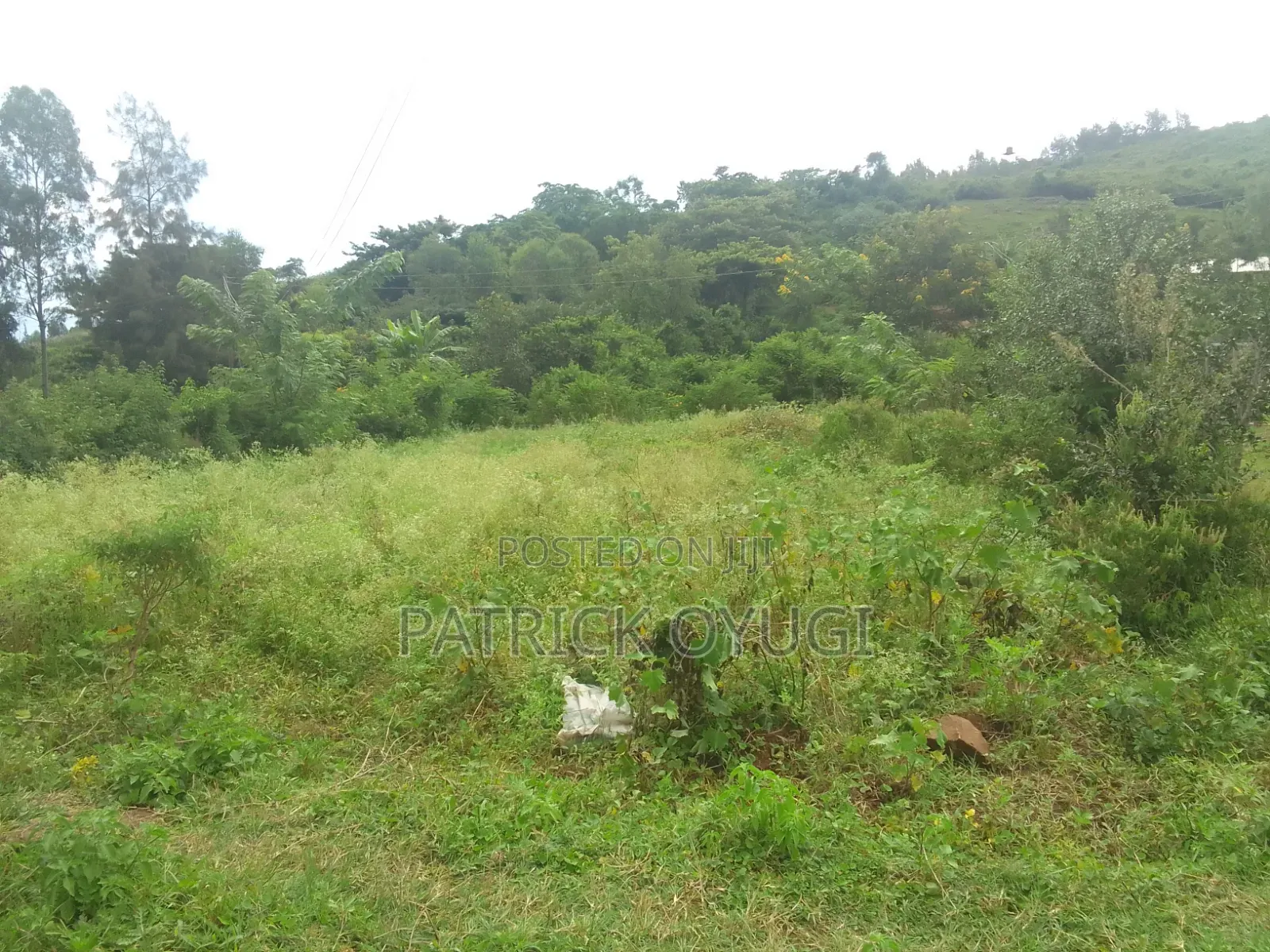 Freehold Land for Sale in Kisumu Konya in Kajulu