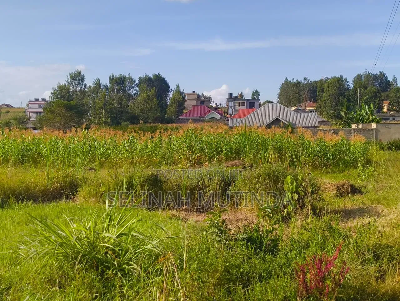 Kabati Residential Plots in Kimorori/Wempa