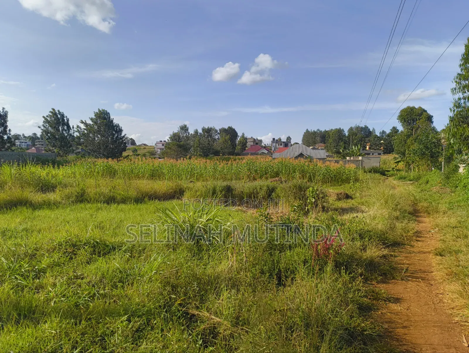 Kabati Residential Plots in Kimorori/Wempa