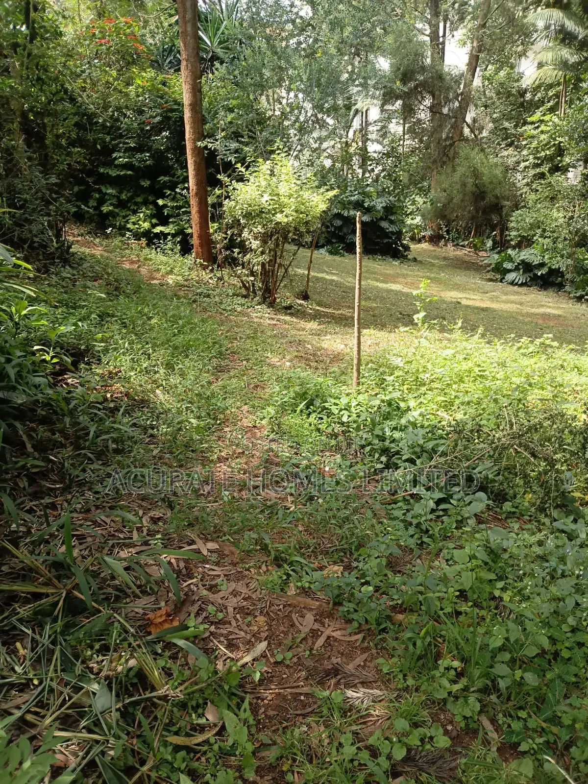 Thika Green Plots For Sale in Riverside Estate