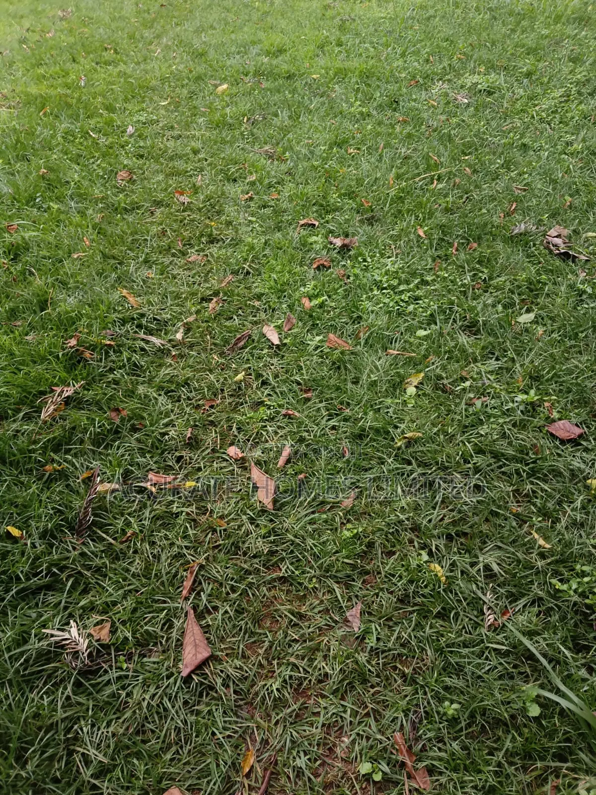 Thika Green Plots For Sale in Riverside Estate