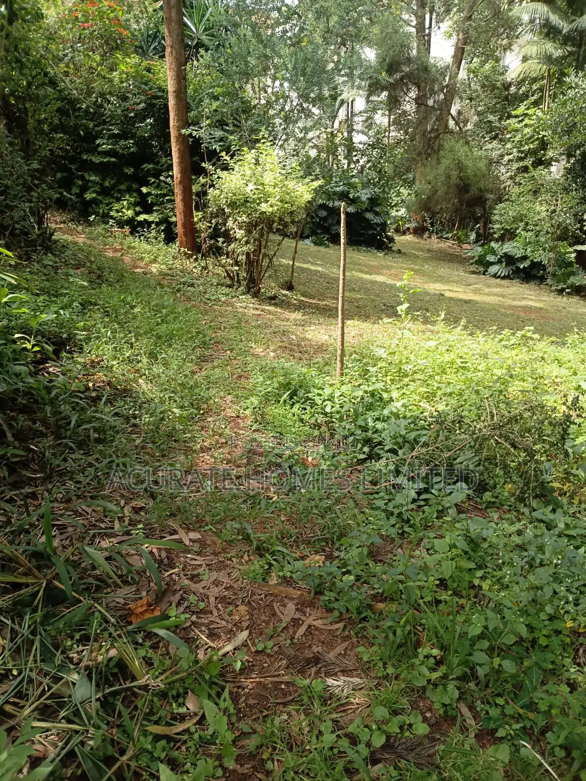 Thika Green Plots For Sale in Riverside Estate
