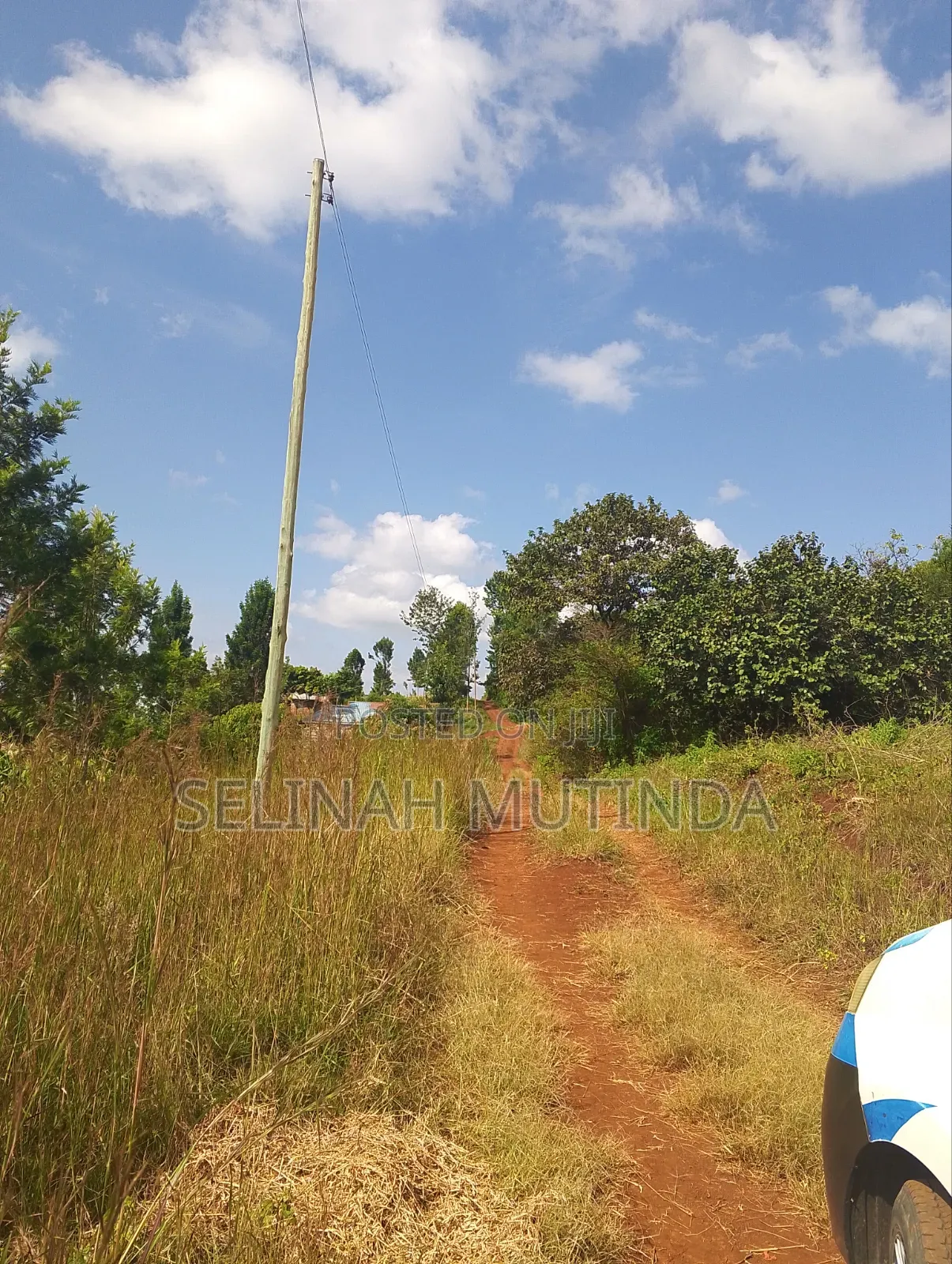 Joy Garden Kenol on Your Way to Milimani Estate in Kimorori/Wempa